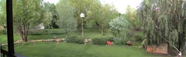 Deck View