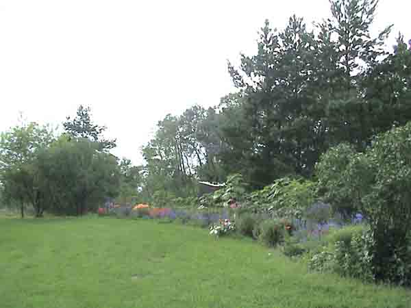 Flowerbed View